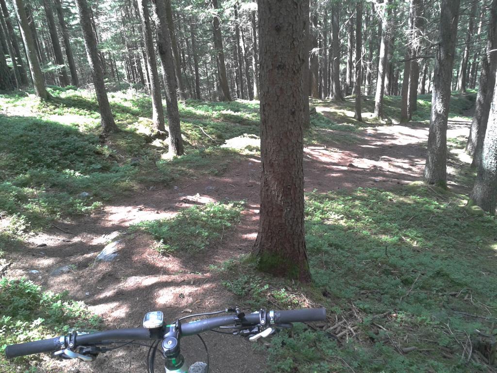 bikefex-eenduro-bigmountain-singletrail-innsbruck-padasterjoch-haus