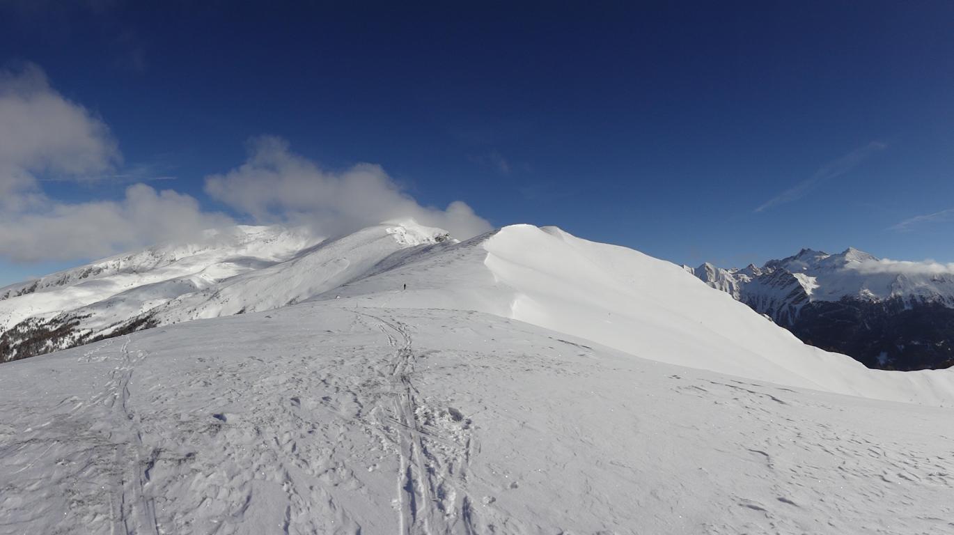 Riedspitze (Zillertaler Alpen) 2490 m