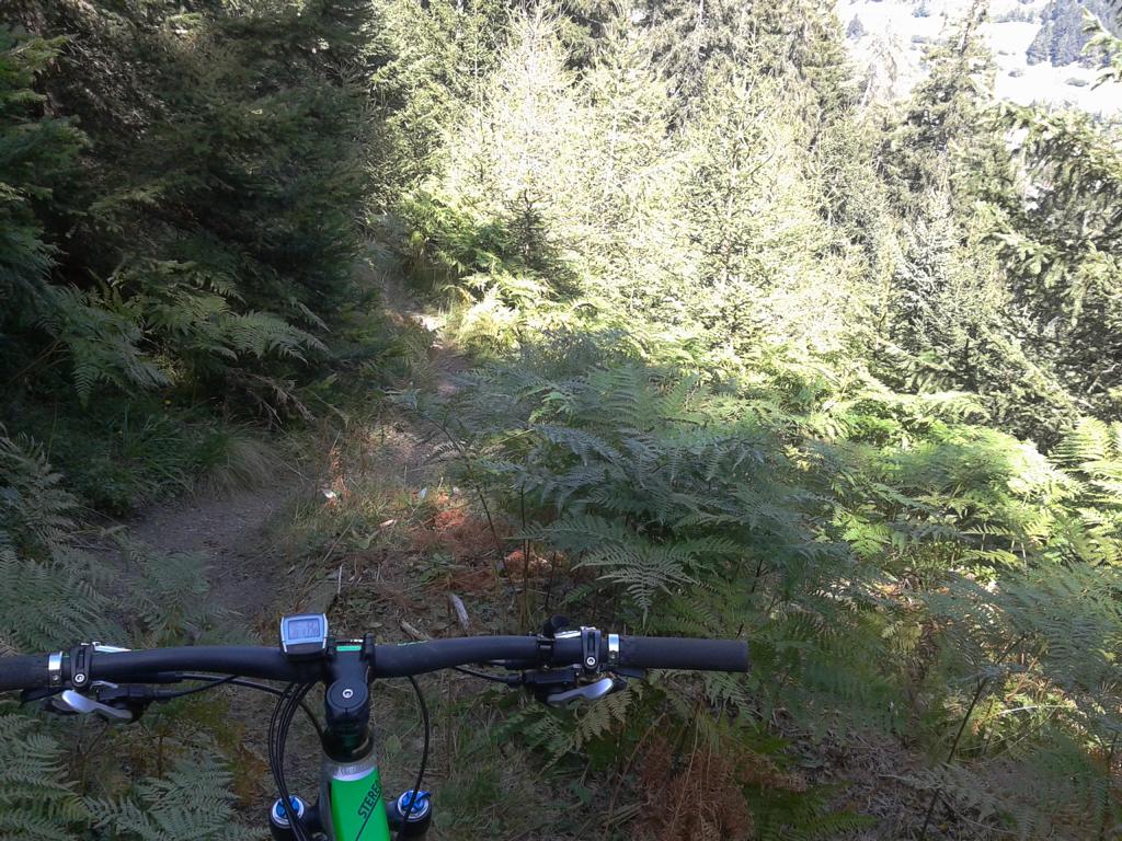 Vallmeritzalm, Singletrail S1