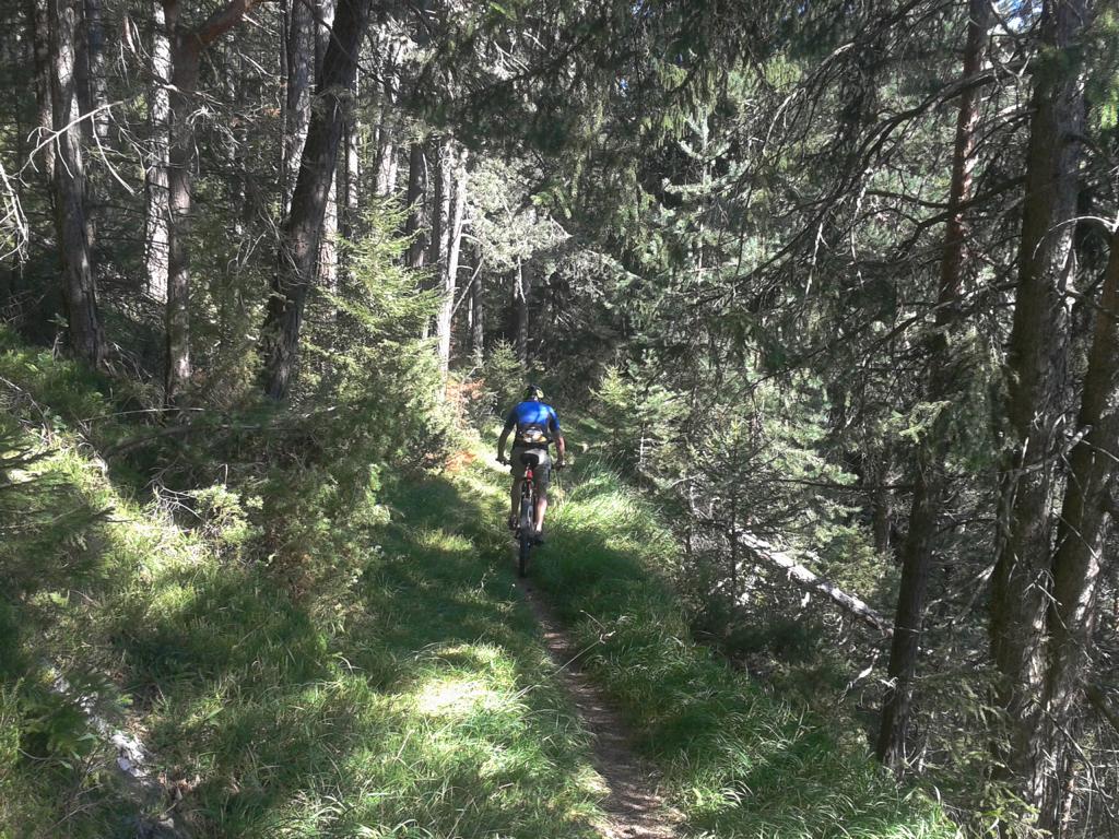 Reitherjoch Alm, Singletrail S2/S3