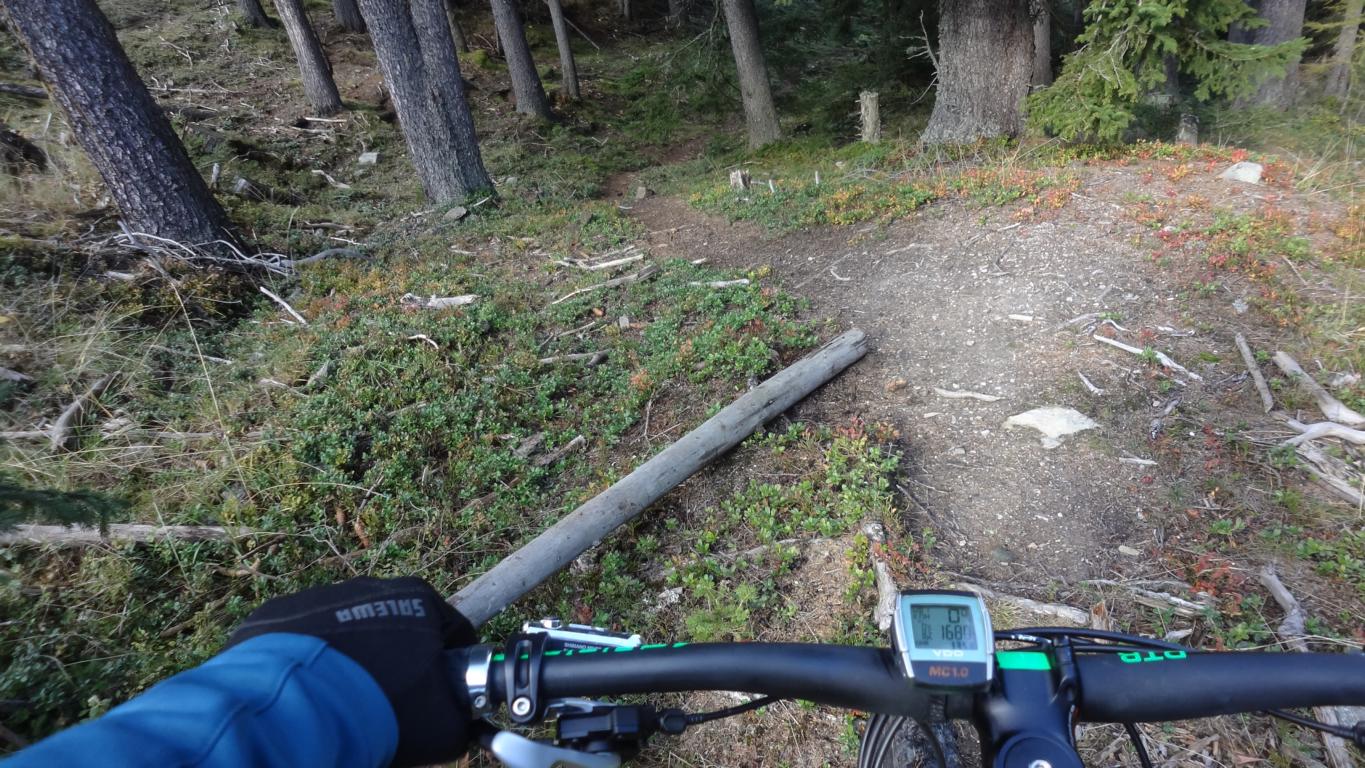 Fallmaritz/Bergeralm, Singletrail S1