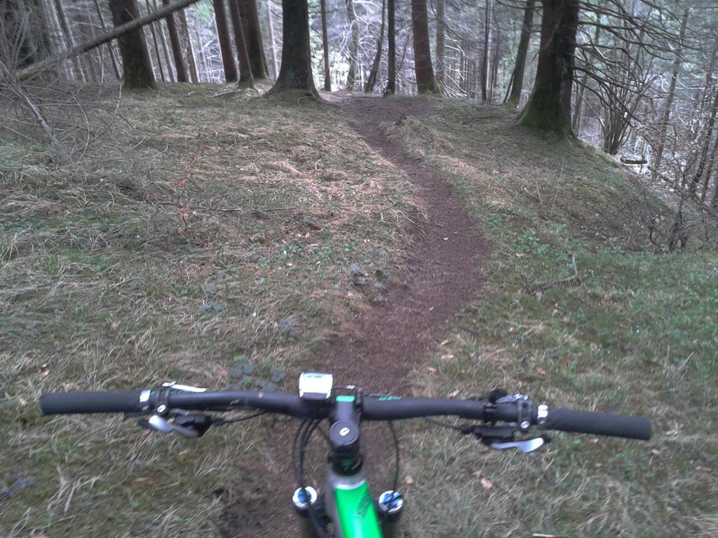 Höttinger Alm Singletrail S1