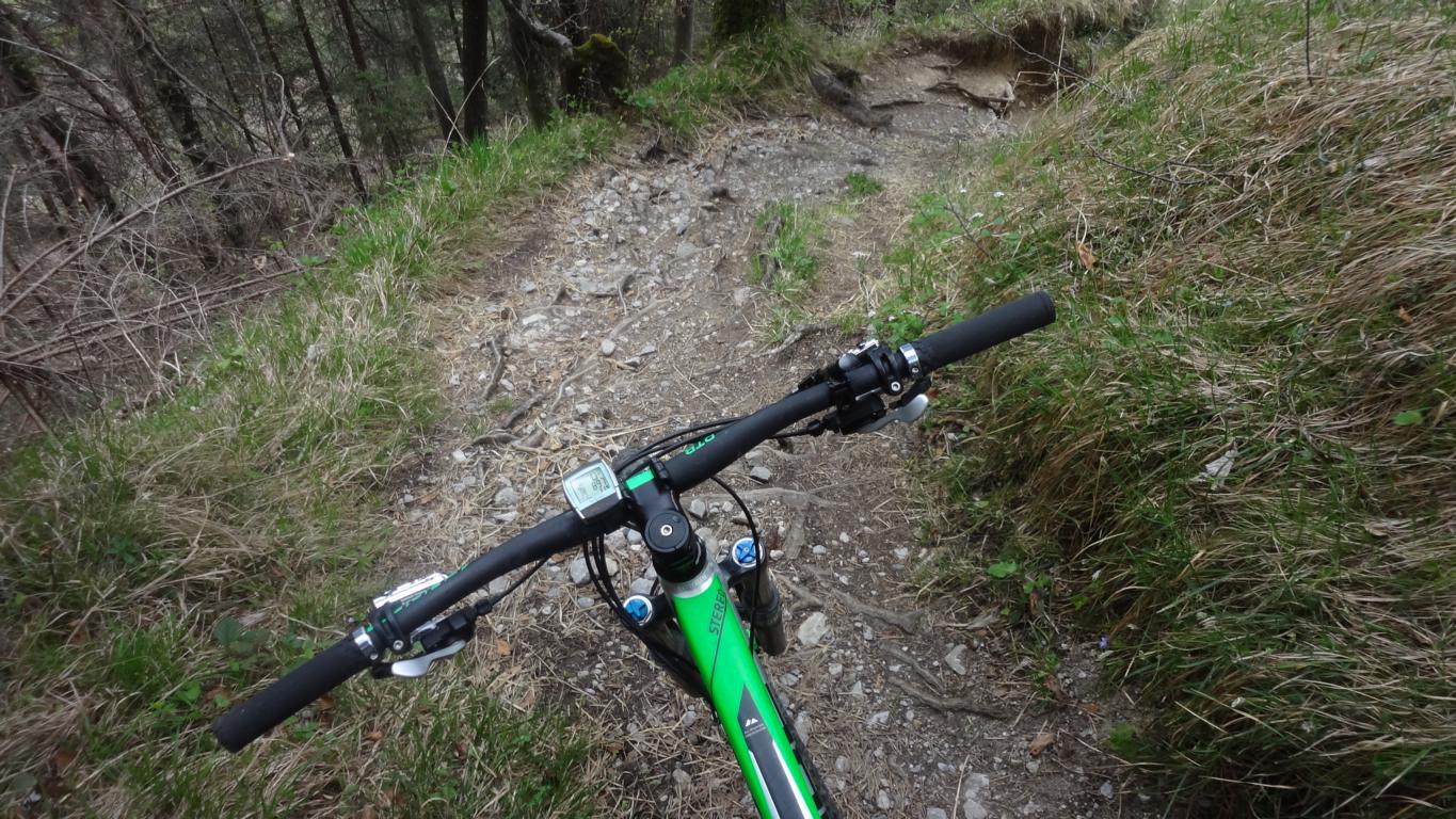 Thaurer Alm Singletrail S2