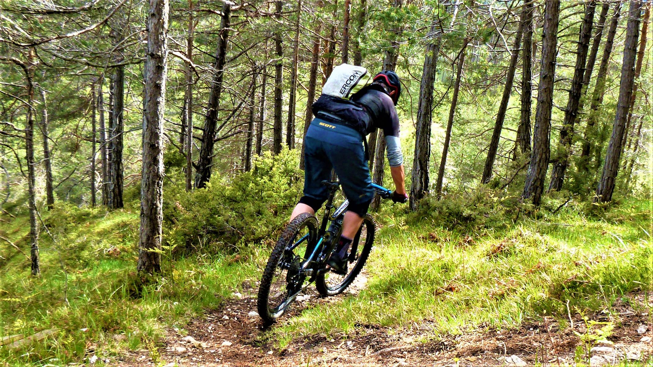 Köllensbergertrail S2-