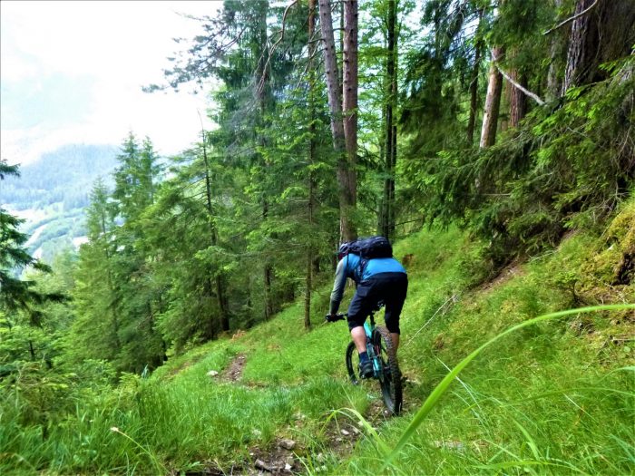 Kitzbüheler horn singletrail