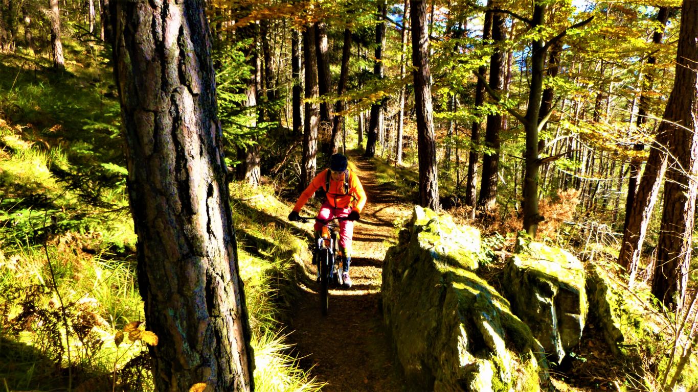 14ER+11ER TRAIL S2-