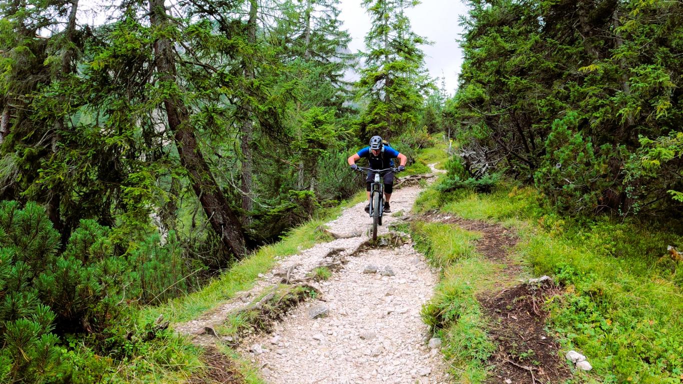 Alplbachtrail S3+ und 92ER-TRAIL MIT VARIANTEN S2