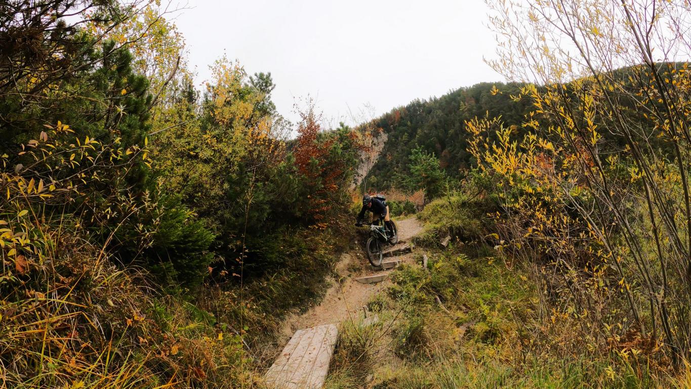 Telfsertrails S2/S3