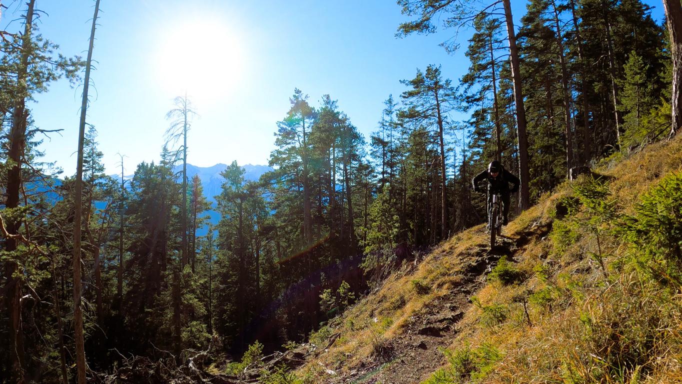 Fieberbach-, Harner- und Magerbachtrail S2