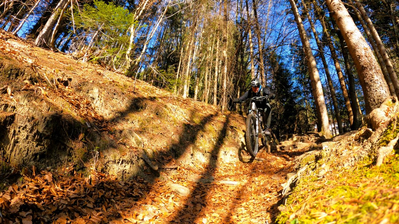 Rumeralm- Kiechlberg- und Wendelintrail S2+