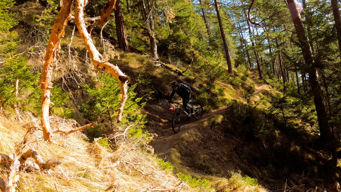 OCHSENBRÜNDLtrail S2+ und ZIMMERBERGtrail S2