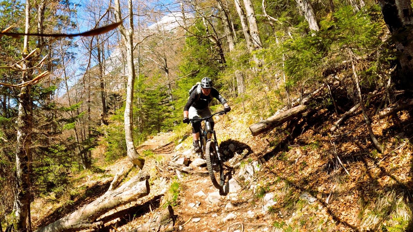 Rauthtrail S3+ und Buchenertrail S3