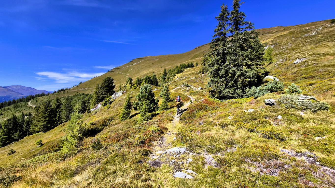 HAMBERGTRAIL S2+